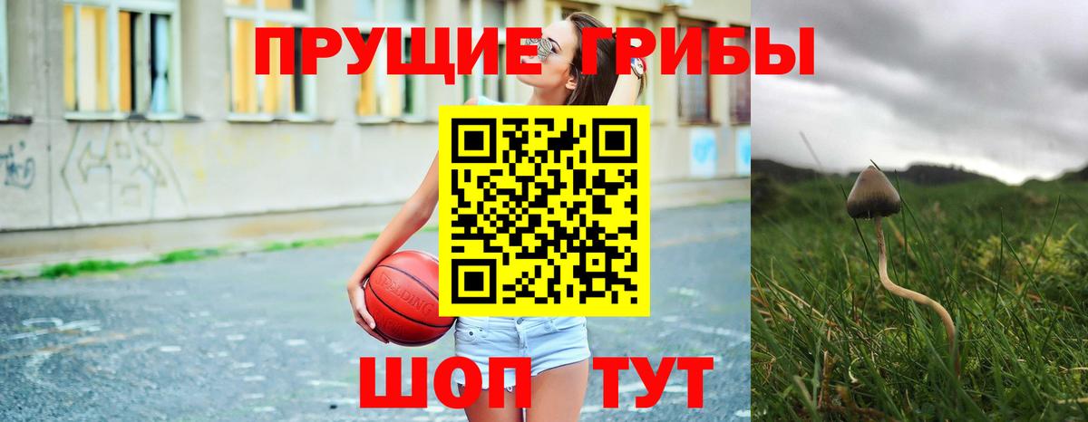 Галлюциногенные грибы мухоморы  Вход с VPN  Муром 